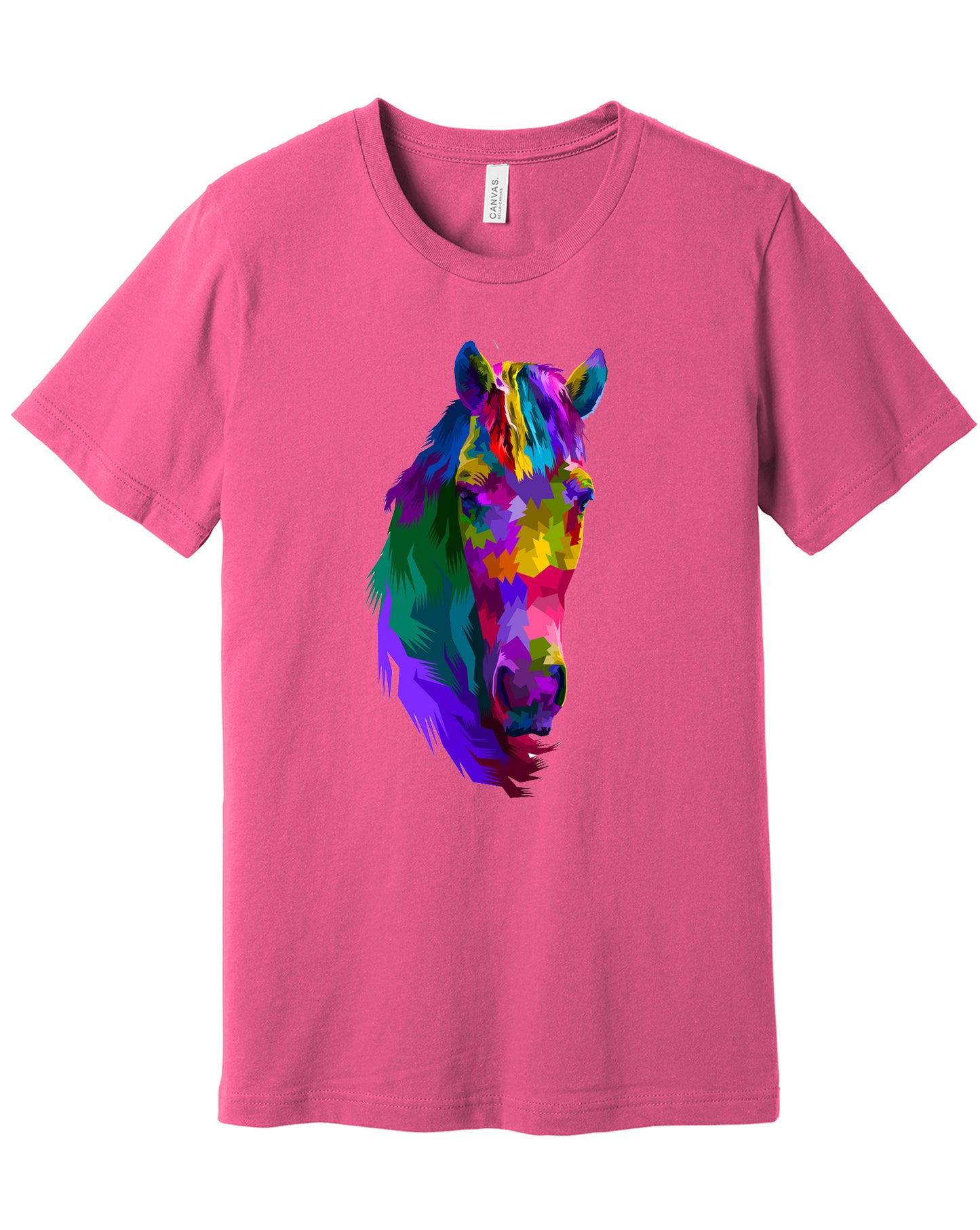 Horse Head - Colorful