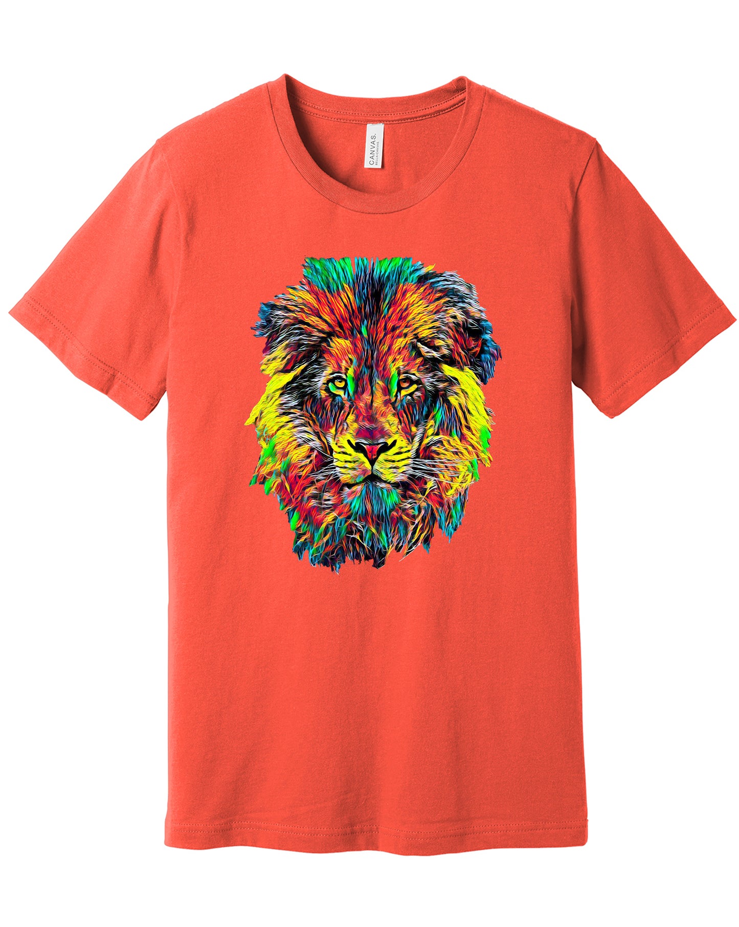 Lion Head - Colorful